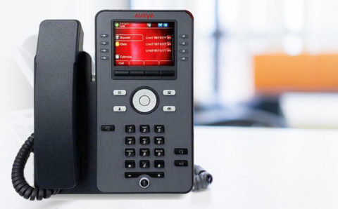 Avaya-J179 Phone